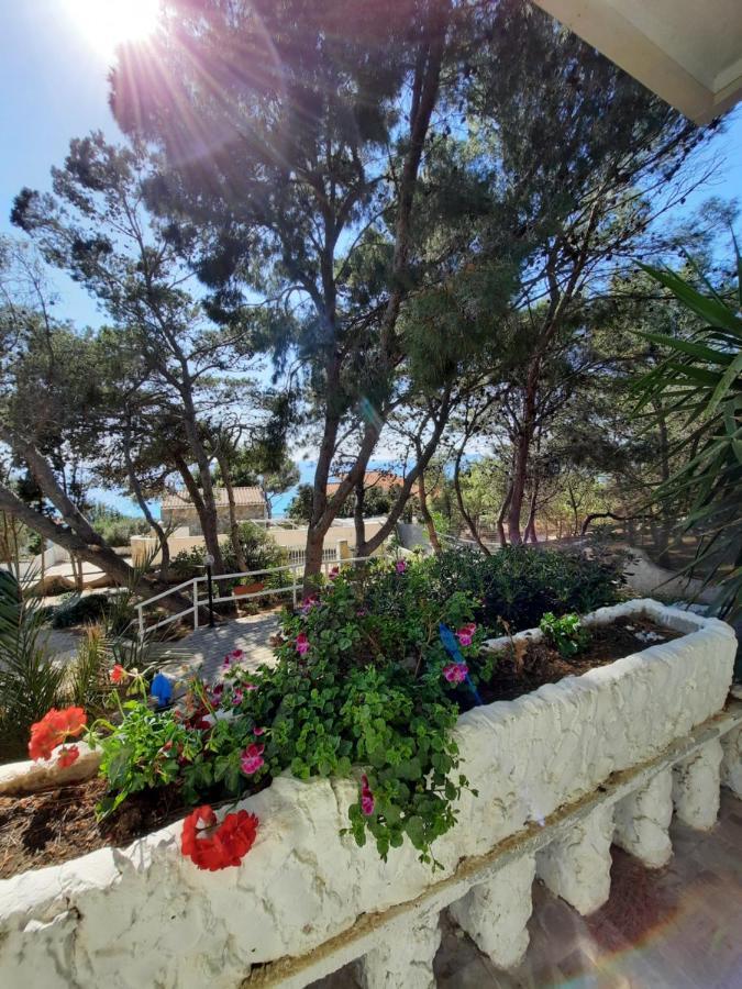 Florida Villa Porto Pino Kültér fotó